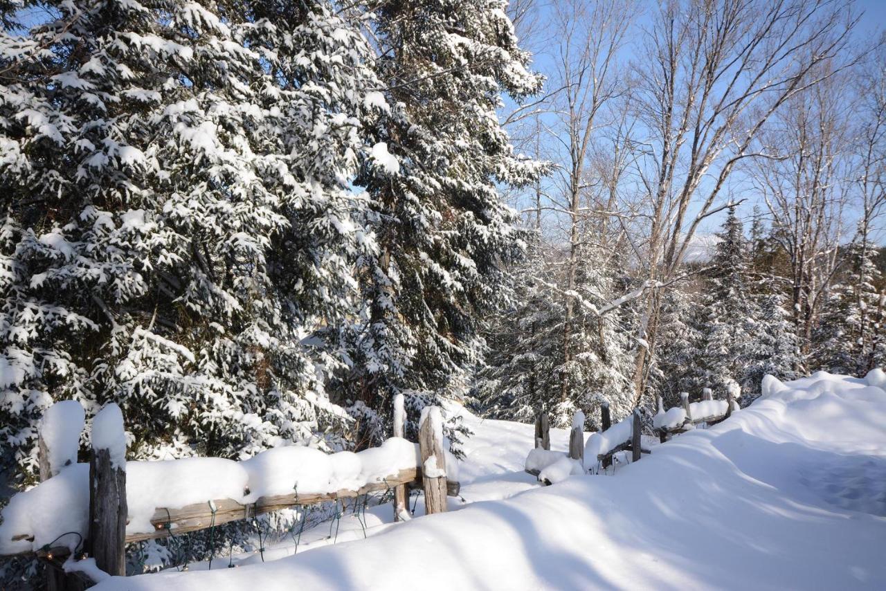 Jardin Du Village By Chez Tremblant Mont-Tremblant Zewnętrze zdjęcie