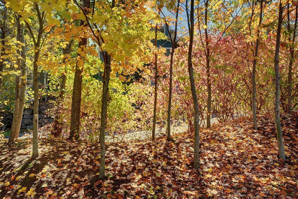 Jardin Du Village By Chez Tremblant Mont-Tremblant Pokój zdjęcie